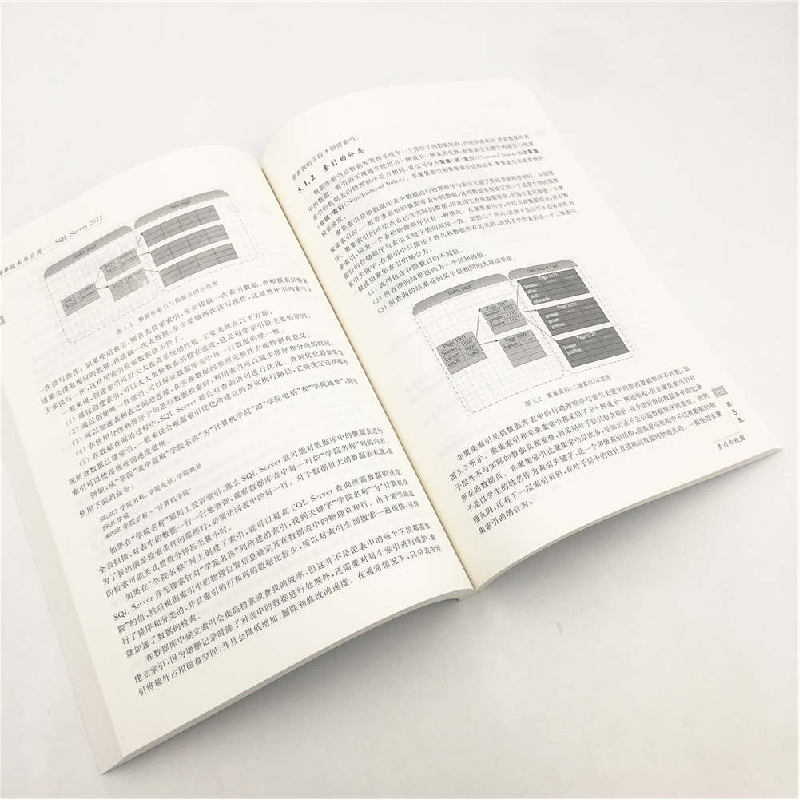 正版 数据库技术与应用:SQL Server 2012 张建国主编 清华大学出高清大图