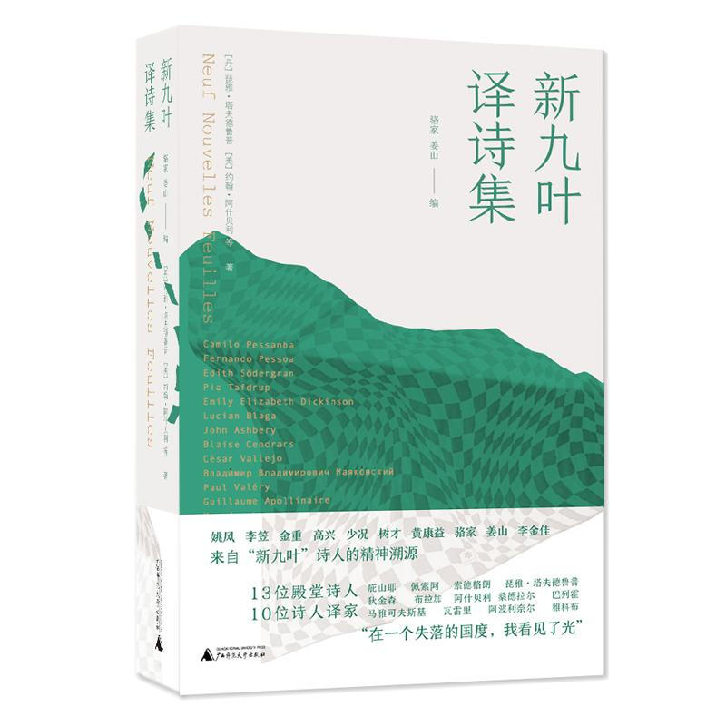 [正版] 新九叶译诗集 琵雅·塔夫德鲁普 等著 收藏200年世界诗歌精华 狄金森 佩阿索 诗人 外国诗歌诗词小说高清大图