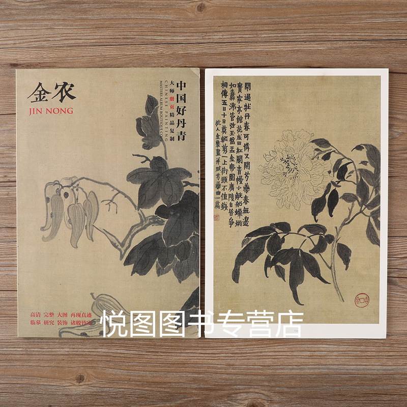 正版]金农画集中国好丹青大师册页精品复制金农画册人物山水花卉
