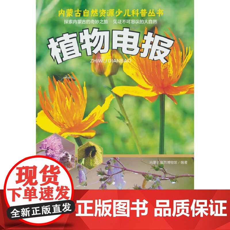 植物电报高清大图