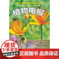植物电电