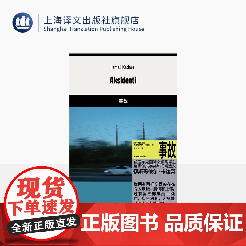 事故 [阿尔巴尼亚]伊斯玛依尔·卡达莱 著 陈逢华 译 首届布克国际文学奖得主 扑朔迷离的爱情小说 上海译文出版社 正版高清大图