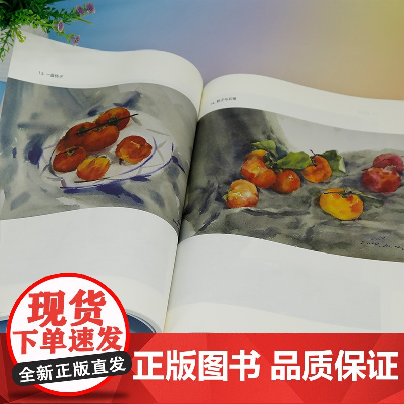 [正版新书] 建筑美术基础水彩(清华大学人居科学系列教材) 王青春 清华大学出版社 办公自动化—应用软件—教材高清大图