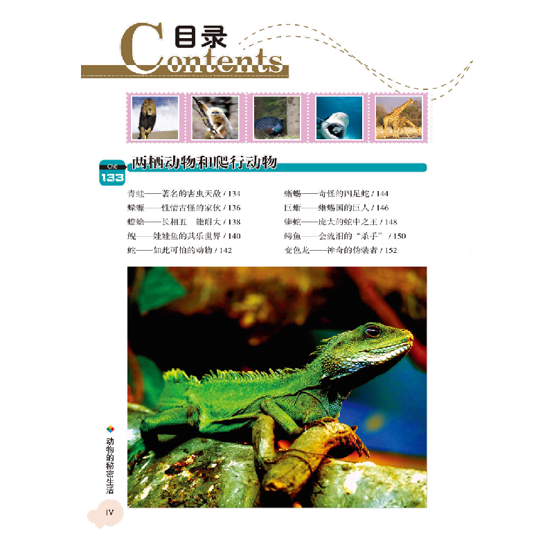 醉染图书的世界——动物的秘密生活(全彩图解版)9787543978980高清大图