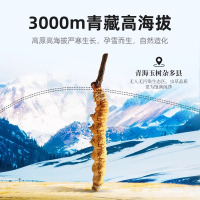 庄民 冬虫夏草 龙凤礼盒装 冻干高洁净 高品质精选 4条/g 优级 层层筛选饱满无断草送老人领导滋补品1克
