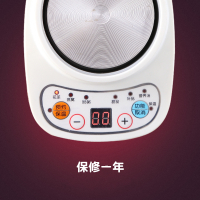 煮茶小型养生壶金蛋办公室烧茶炉mini花茶壶电炖杯玻璃烧水壶 360w底座+萝卜c+滤芯