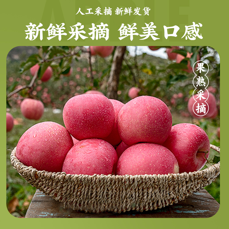 苏鲜生[苏宁自主品牌]烟台栖霞红富士苹果礼盒装 10斤带箱(80-85mm)