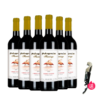 智利原瓶进口红酒巴塔火烈鸟干红葡萄酒750mlx6