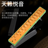 SWAN天鹅24孔单音C大调口琴 儿童初学复音成人自学 老师教学 高级演奏吹奏绿色乐器