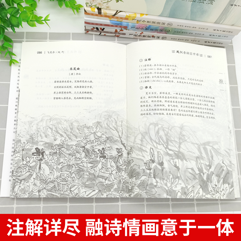 [正版] 飞花令里读诗词(全4册)青少年作文诗词名人名句诗词歌赋通用风花雪月以学引诗以诗解字北京日报出版社中国当代高清大图
