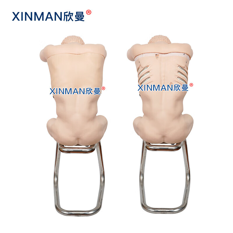 欣曼科教 胸腔背部穿刺训练模拟人 胸腔穿刺操作模型XM-LXQA高清大图