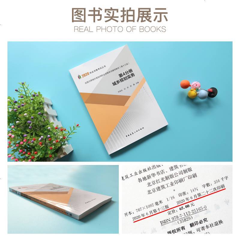 2020年全国注册城乡规划师职业资格考试教材(第十三版) 第4分册 第四分册 城乡规划实务 注册城市规划师