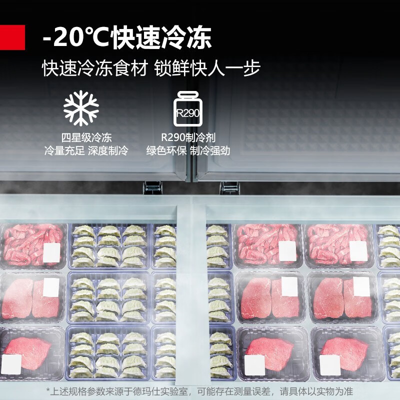 德玛仕(DEMASHI) 卧式冰柜 BD-480[XC02]卧式冰柜全冷冻冰柜 商用冰柜