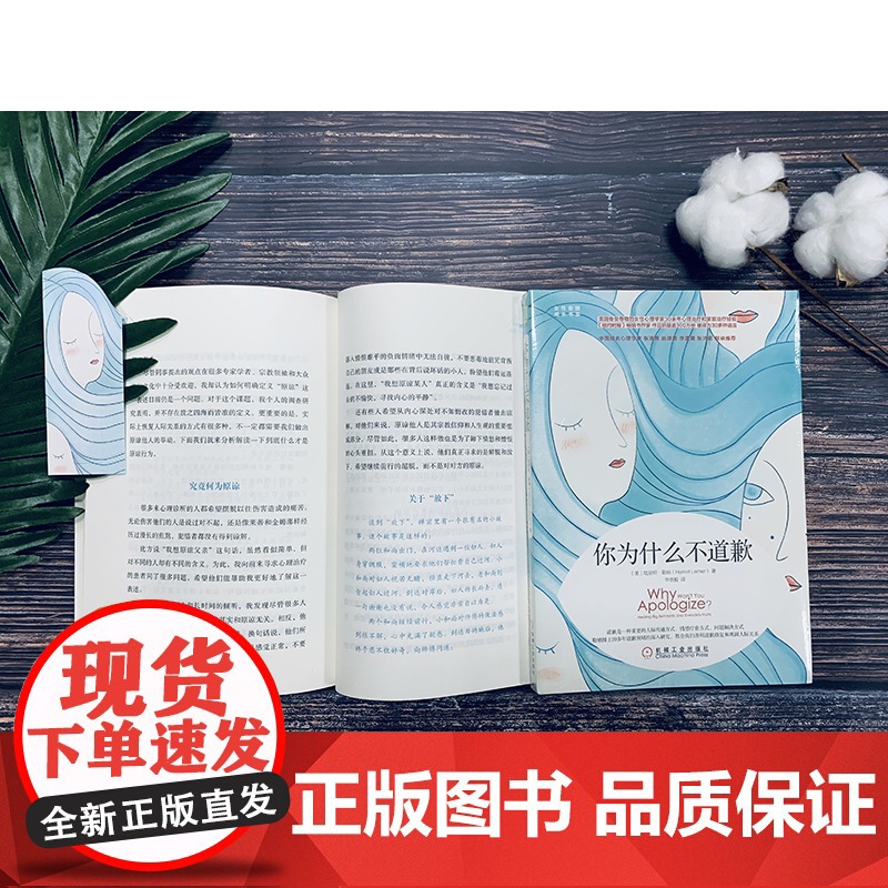 你为什么不道歉 自我实现励志 人际沟通 机械工业出版社 正版书籍高清大图