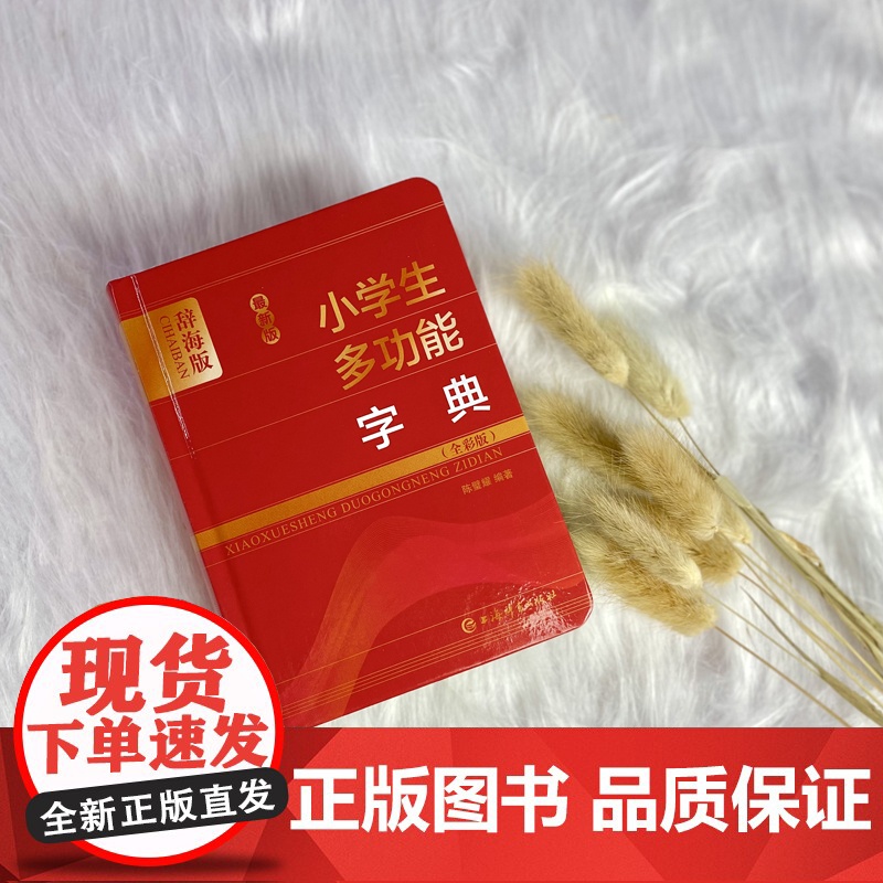 新版小学生多功能字典(全彩版)高清大图