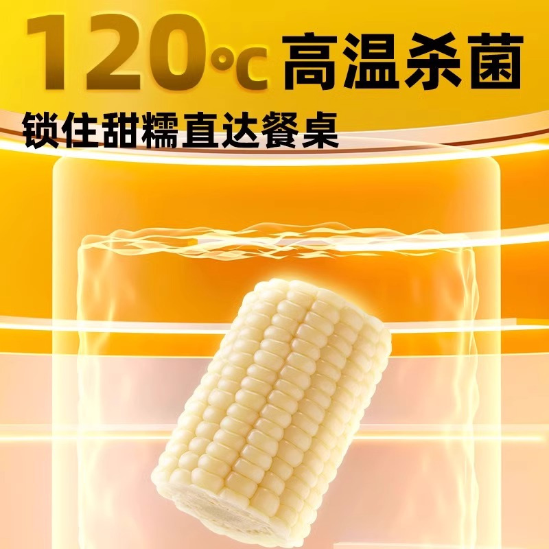 十月稻田白糯玉米段8段皮薄肉嫩东北东北黏苞米 早餐粗粮 真空包装高清大图
