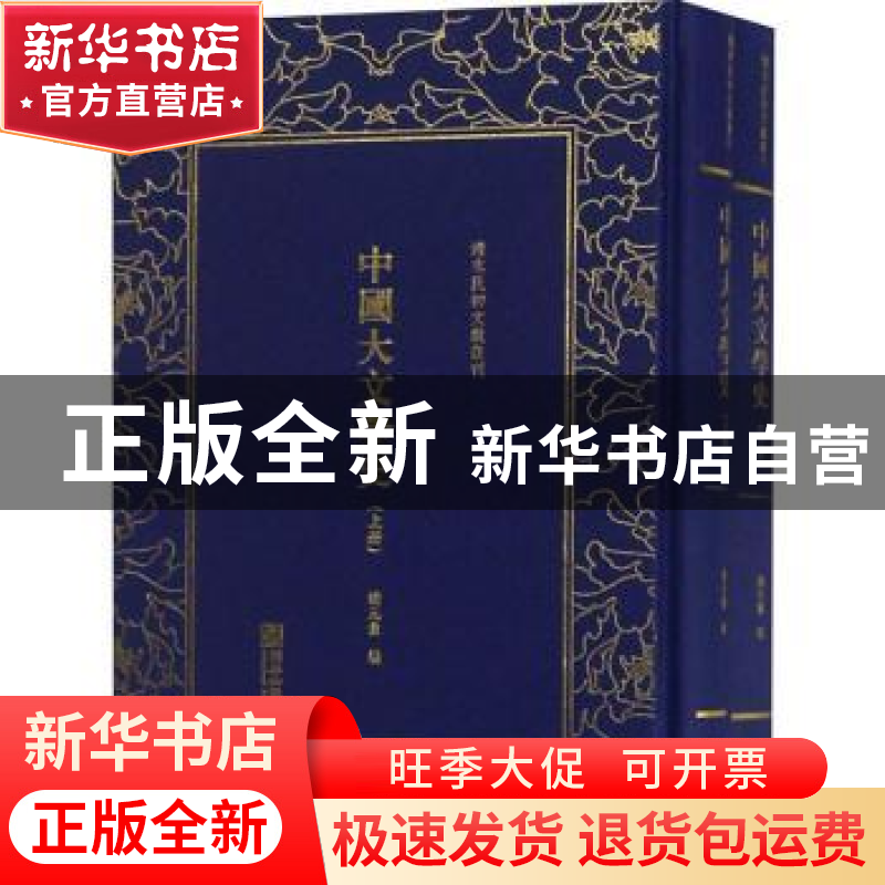 正版 中国大文学史 谢无量编 朝华出版社 9787505443198 书籍高清大图