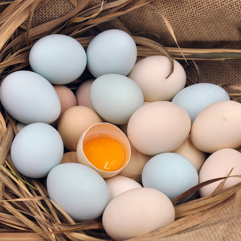 红莲巢(hong lian chao)蛋类 正宗虫草蛋20枚 新鲜农村笨鸡蛋谷物蛋虫