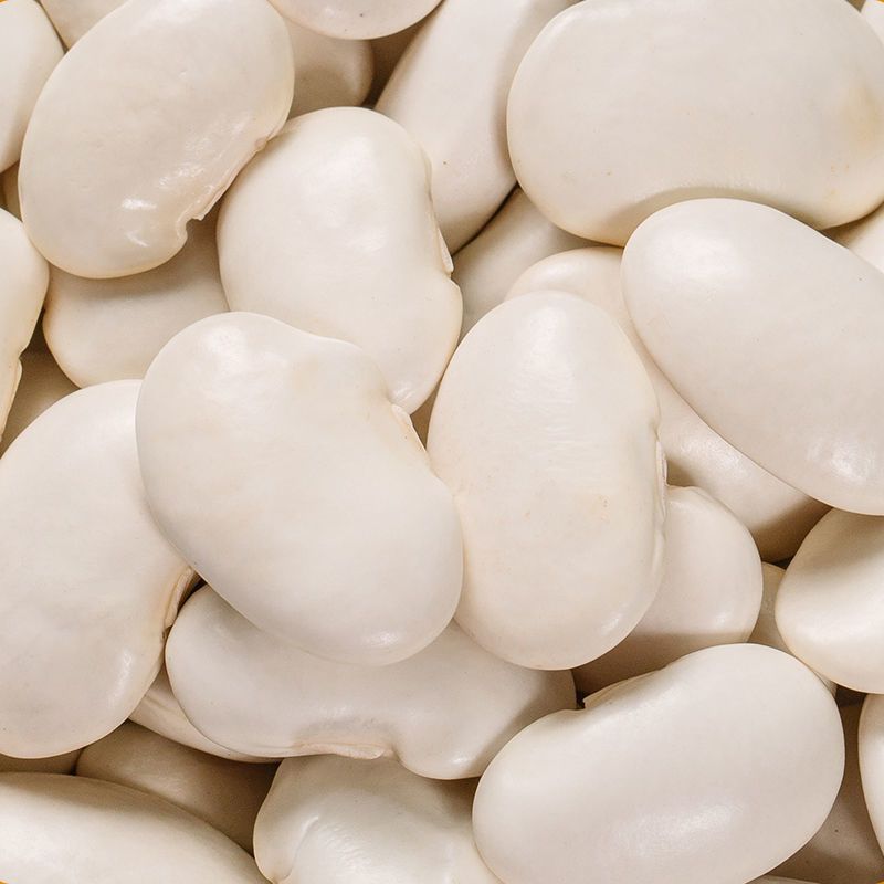 新货大白芸豆白云豆京豆大雪豆云南农家大白芸豆五谷杂粮 中颗粒 半斤