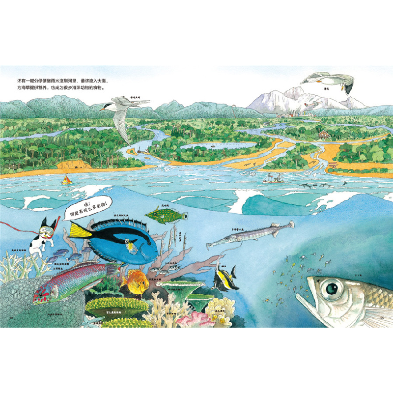 正版新书]地球上的便便去哪儿了?(日)松冈达英9787571419509高清大图