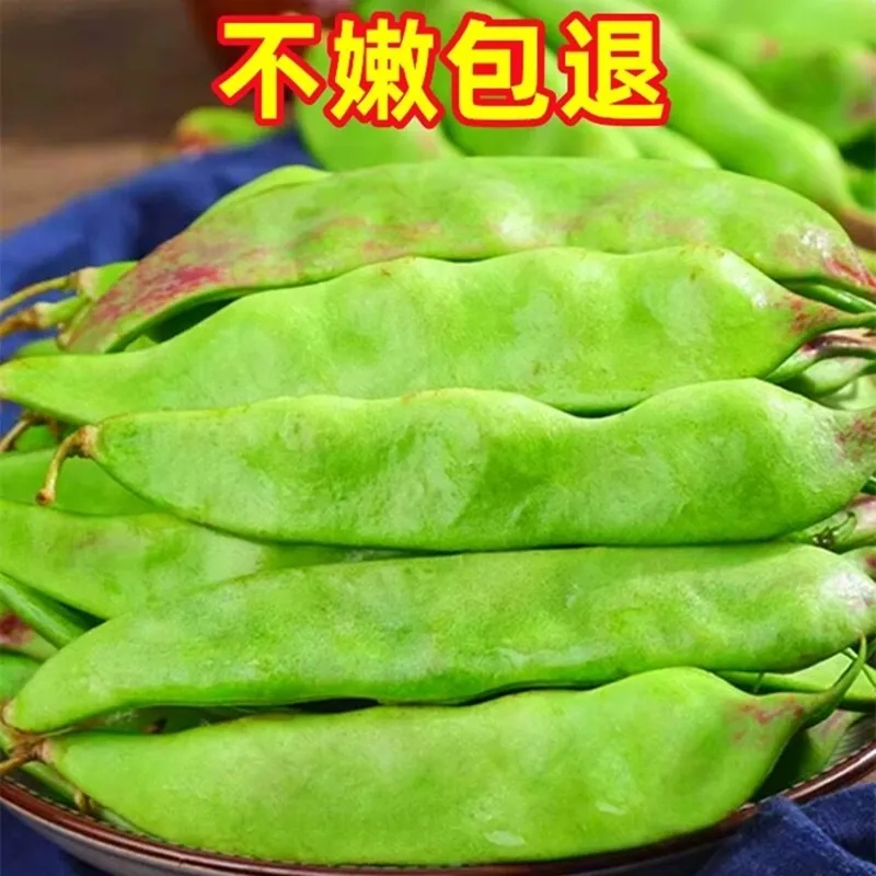 东北油豆角现摘新鲜5斤蔬菜黑龙江一点红油豆角东北特产