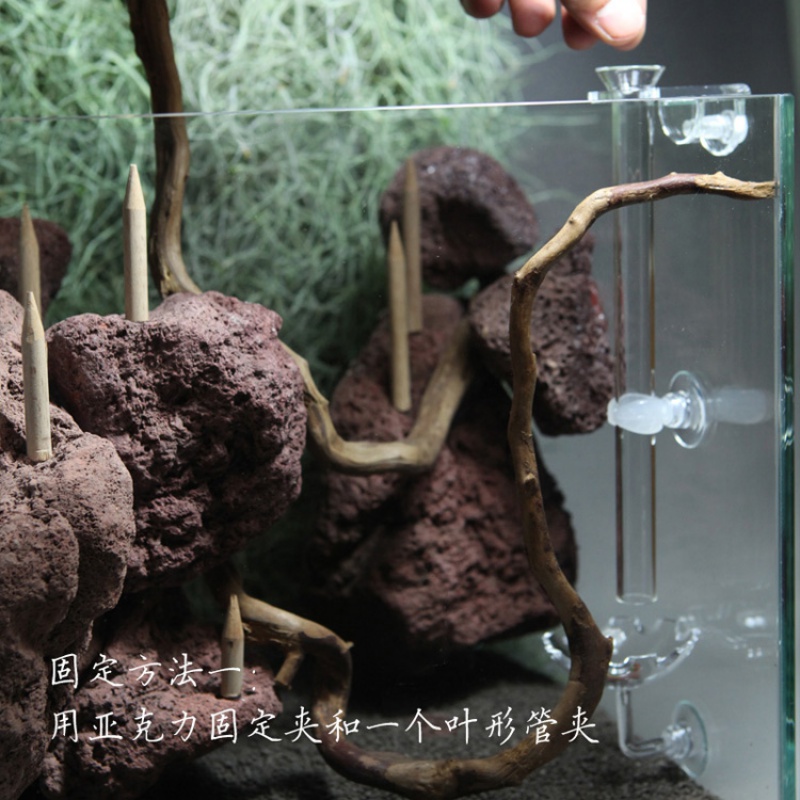 玻璃投食管水晶虾喂食管空中虾食盆喂食器鱼缸龟缸投食器高清大图