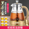 智能煮茶器黄金蛋黑茶普洱玻璃全自动保温蒸汽家用电热水壶蒸茶壶养生壶 C11卡其[防烫手柄]+6个品茗杯