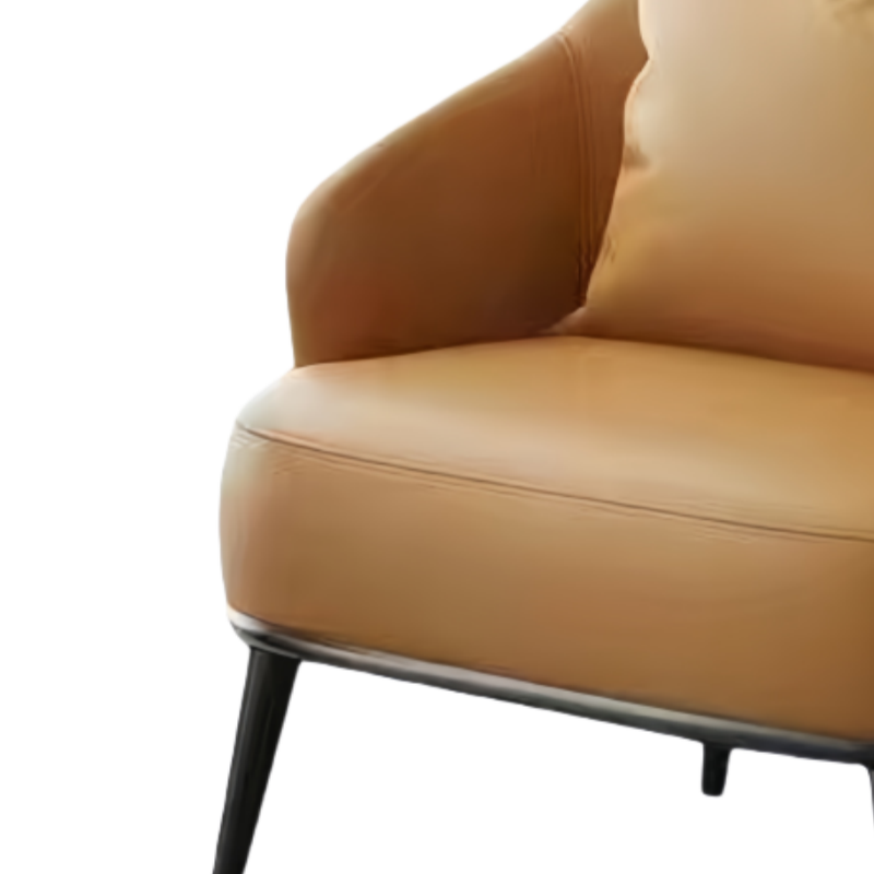 乐琪艺 休闲沙发 单人 张高清大图