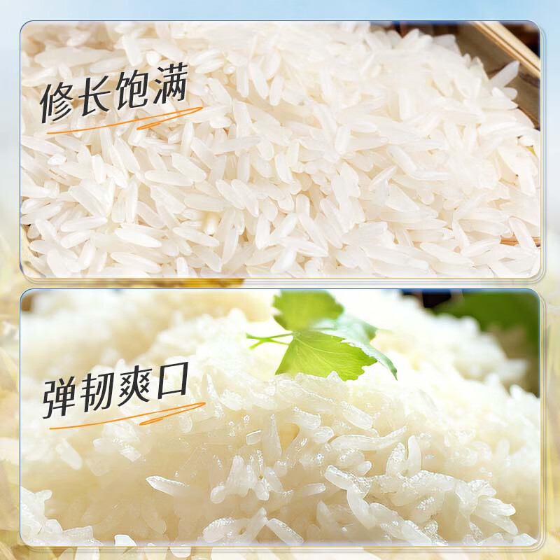KO-KO(口口牌) 泰国茉莉香米 泰国香米 原装进口大米 年货团购 大米5kg高清大图