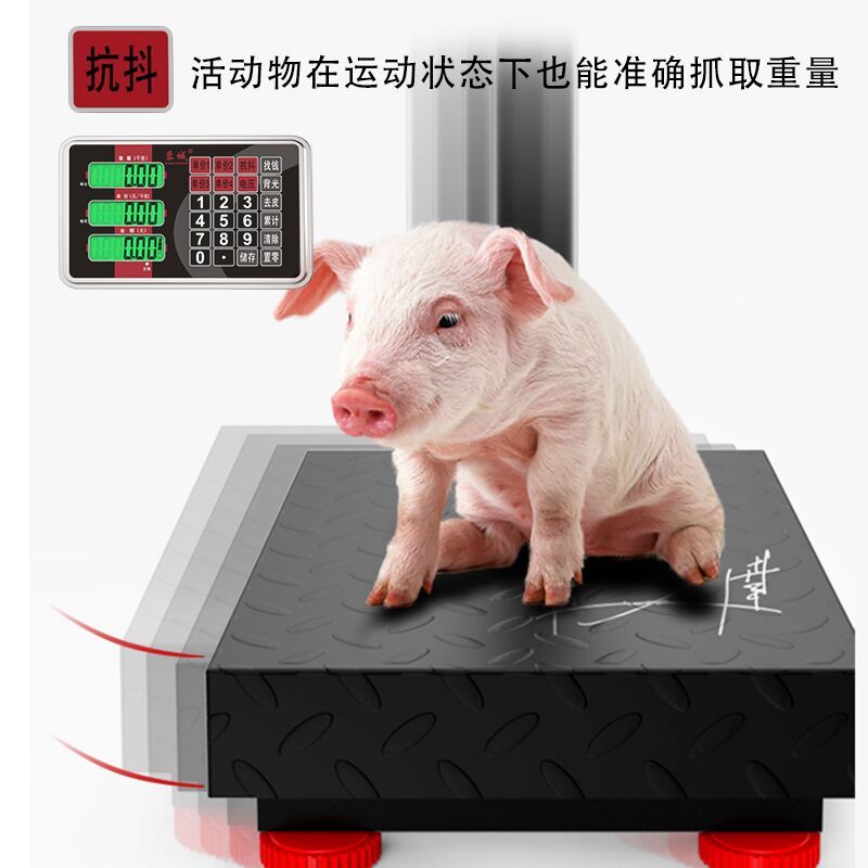 蓉城rongcheng电子称台秤100KG电子称台称计价150公斤台称快递秤300KG磅秤计价计数称重商用电子秤