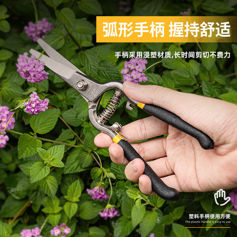得力(deli)园艺剪套装(黑)2件套DL580241