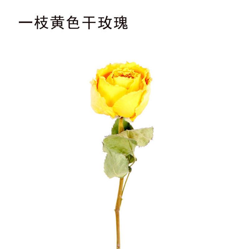 敬平麦秆菊七彩菊干花花束情人草客厅摆件ins小清新家居装饰网红套装彩色麦秆菊15枝 原色情人草图片 高清实拍大图 苏宁易购 敬平麦秆菊七彩菊干花花束情人草客厅摆件ins小清新家居装饰网红套装彩色麦秆菊15枝 原色情人草图片 高清实拍大图 苏宁易购
