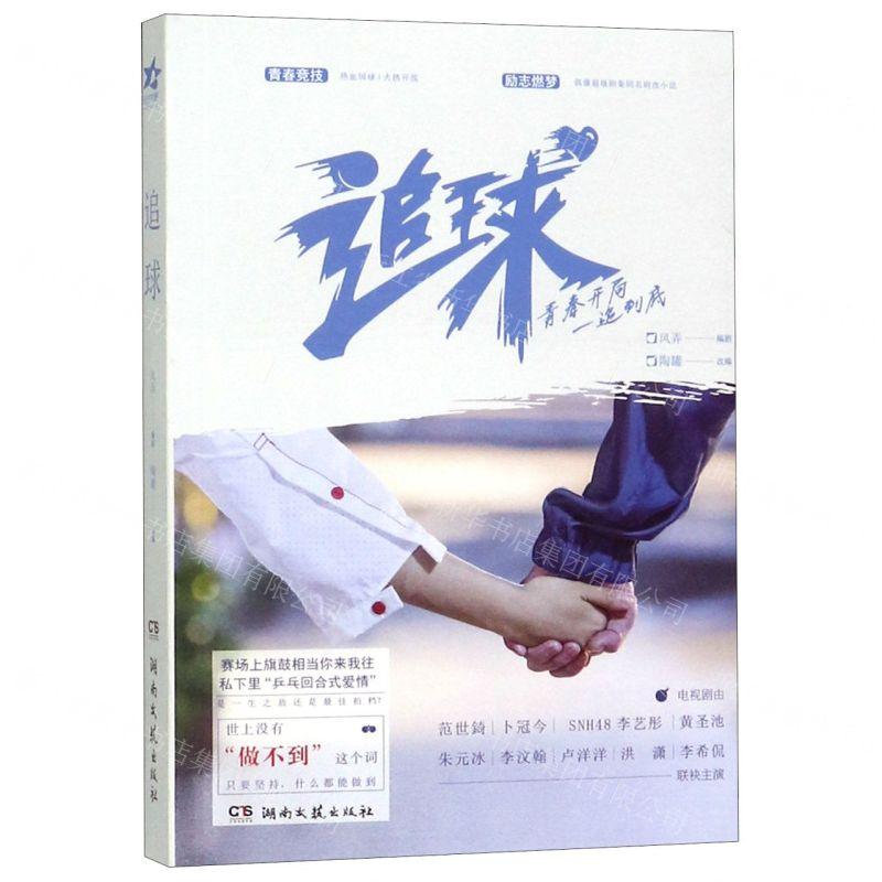[M]追球-9787540492915高清大图