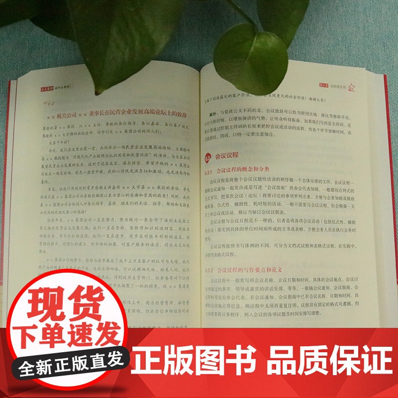 新书 公文写作技巧与案例 机关笔杆子 集15年办文经验手把手教你写好公文 148例范文写作分析及常见错误事例解析高清大图