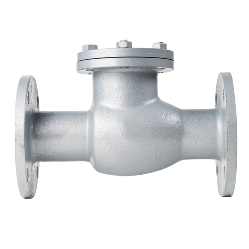 兴酉 铸钢法兰止回阀 DN200 个高清大图