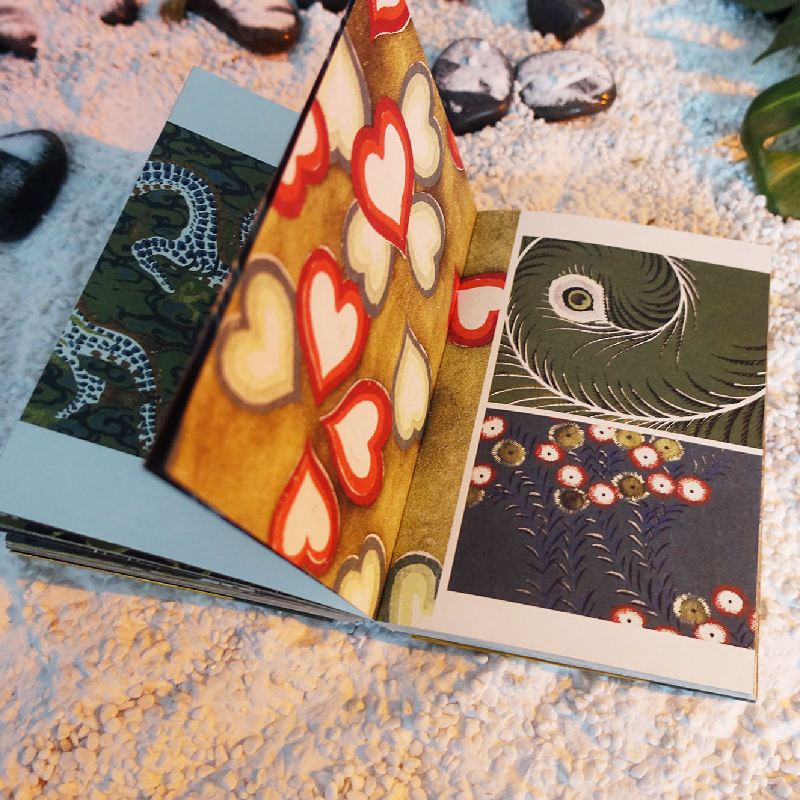 醉染图书新美术海 日本明治时代纹样艺术9787574600782高清大图