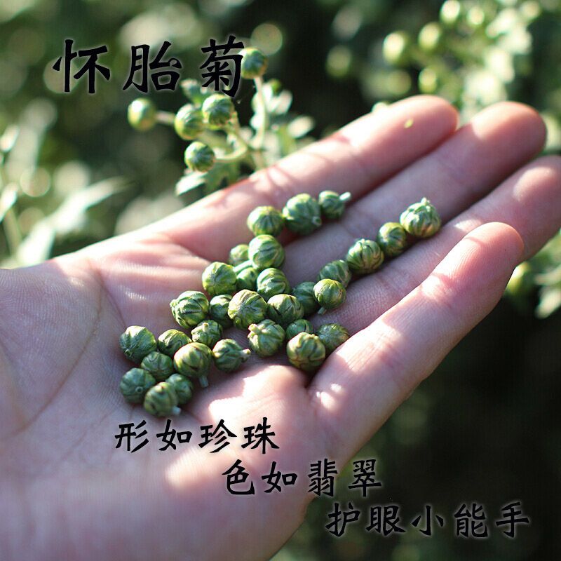 胎菊菊花茶怀胎菊焦作清热去火菊米眙皱小邹胚贻台菊明目养眼茶 50克罐装