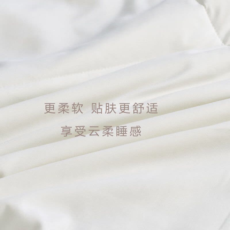 罗曼罗兰(ROMROL)春夏新款夏被 抗菌水洗蛋白夏被 竹青 150*200CM图片