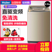 Haier海尔洗衣机 波轮洗衣机全自动8.5公斤直驱变频双动力 防缠绕家用大容量免清洗洗衣机 海尔 MS8518BZ51