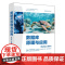 [正版新书]数据库原理与应用:MySQL8版本 邓立国 清华大学出版社 数据库原理 MySQL 数据库设计 数据库