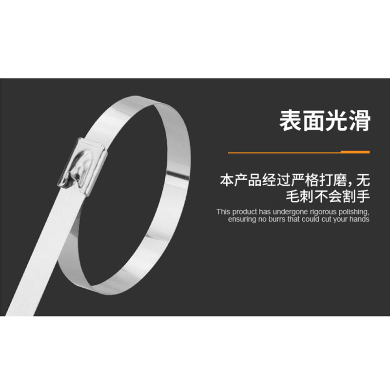 东电通信(DODEM) 201不锈钢扎带自锁捆扎带 7.9mm*800mm 100根/包高清大图