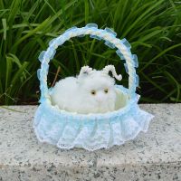 仿真会叫猫咪毛绒玩具儿童玩偶花篮提篮猫咪小兔小狗教学动物模型 蓝色+仿真小绵羊 不叫 花边提篮