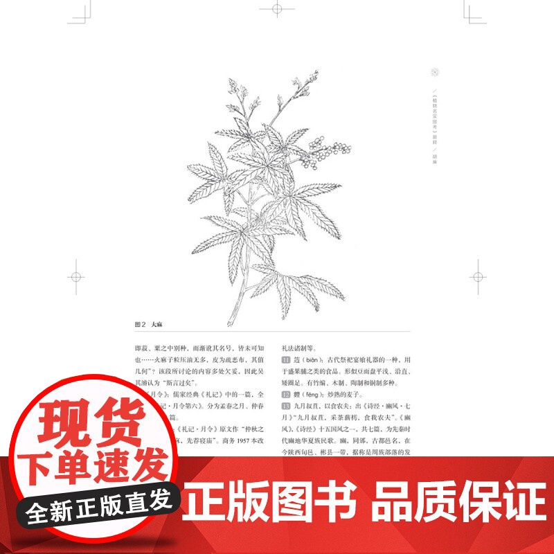 《植物名实图考》新释上下册 王锦秀等古代本草巨著的现代植物分类学阐释 上海科学技术出版社高清大图