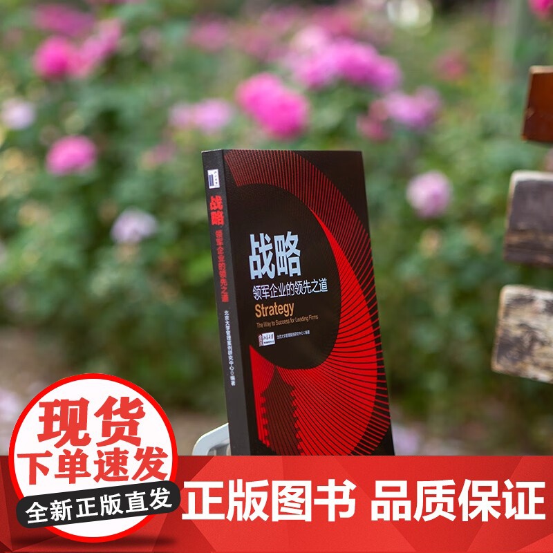 战略 领军企业的领先之道 北京大学管理案例研究中心 编著 经济高清大图
