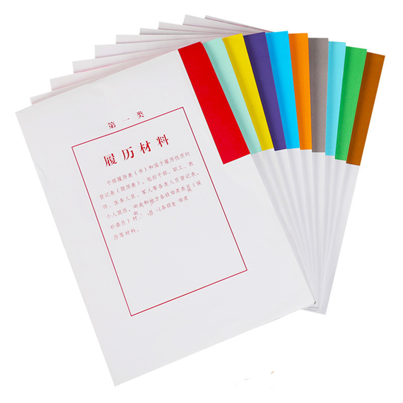 人事档案专用分 类 纸 分 类 纸*10页/套 10套