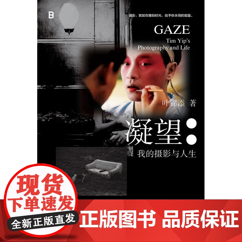 凝望 叶锦添 著 摄影高清大图