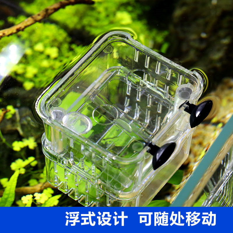 孔雀鱼繁殖盒幼鱼鱼缸隔离斗鱼鱼苗产卵器热带鱼亚克力