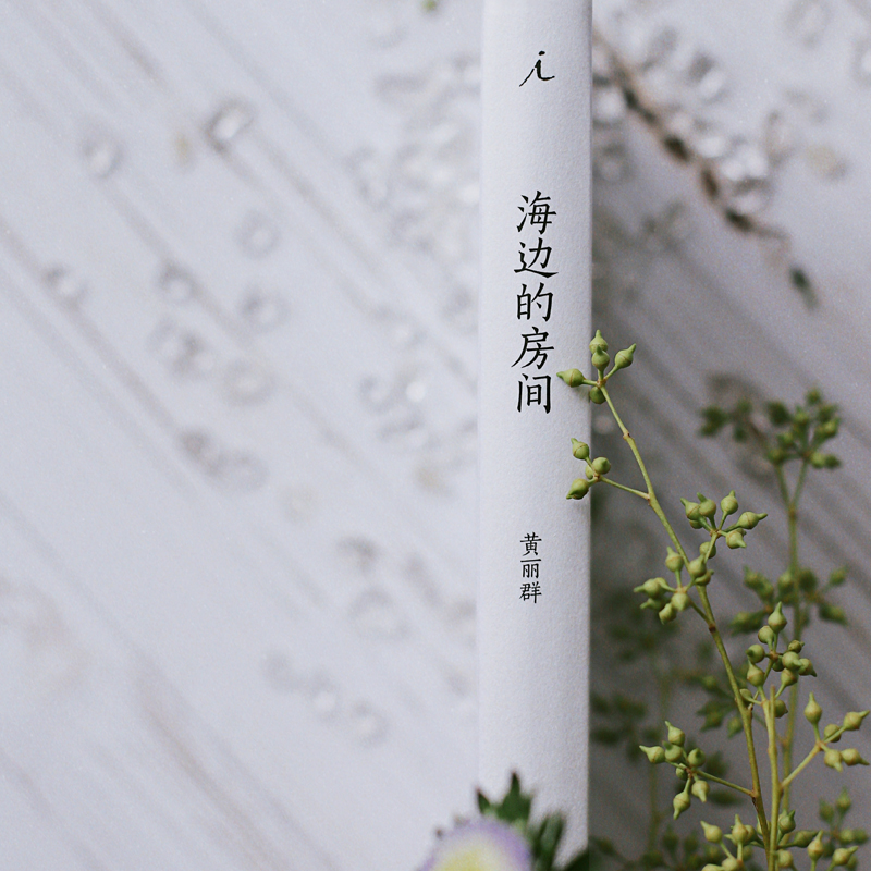 醉染图书海边的房间9787555911630高清大图