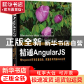 精通AngularJS