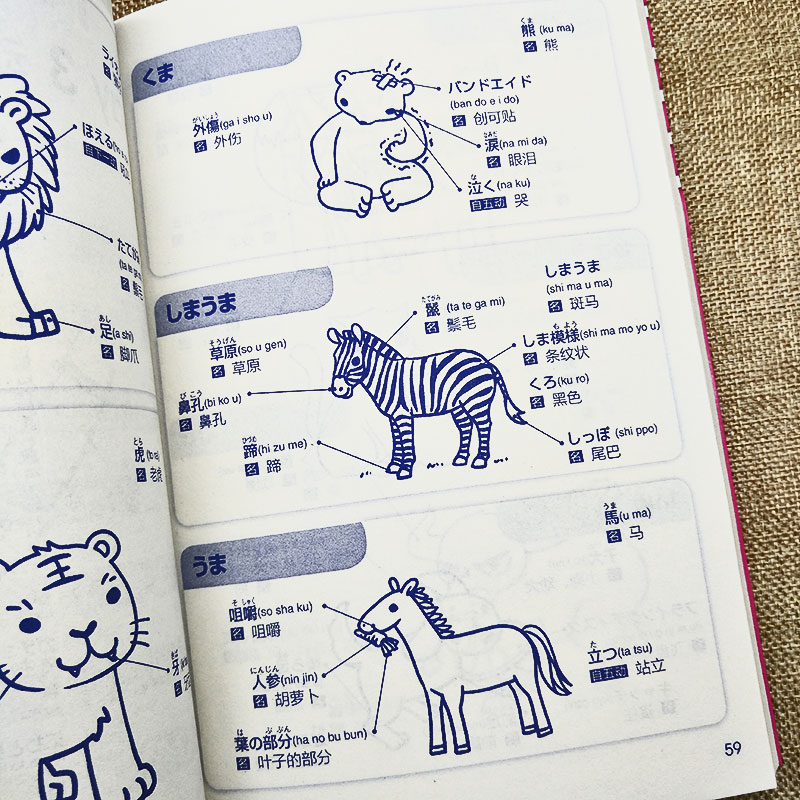 [正版]扫一扫听音频好快!10天背完2000日语单词 初学日语入门教程日语单词基础语法发音 学日语的书 实用初级日本语综高清大图